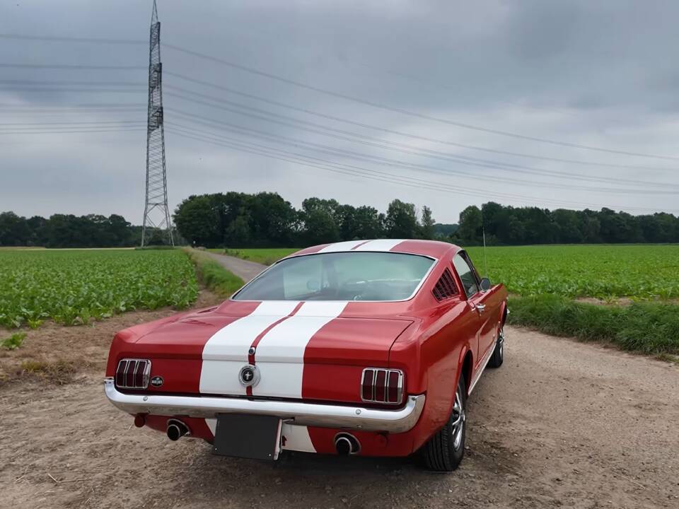 Bild 8/11 von Ford Mustang 289 (1965)