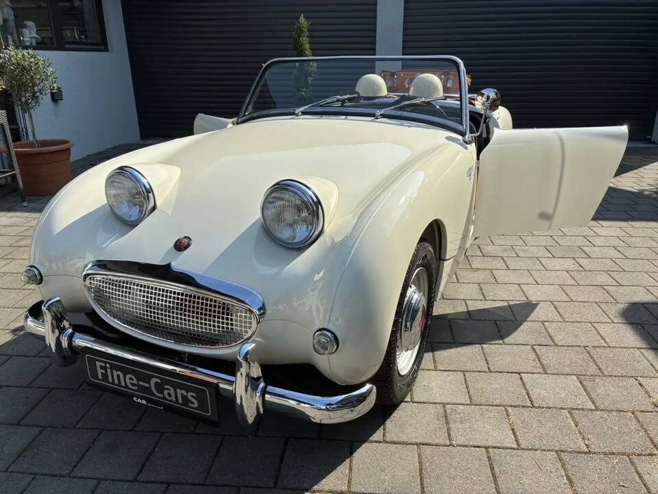 Image 5/20 of Austin-Healey Sprite Mk I (1960)