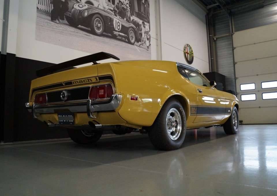 Image 21/50 of Ford Mustang Mach 1 (1973)
