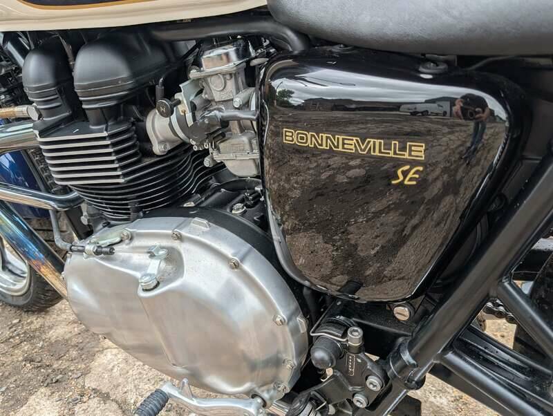 Bild 24/24 von Triumph DUMMY (2009)