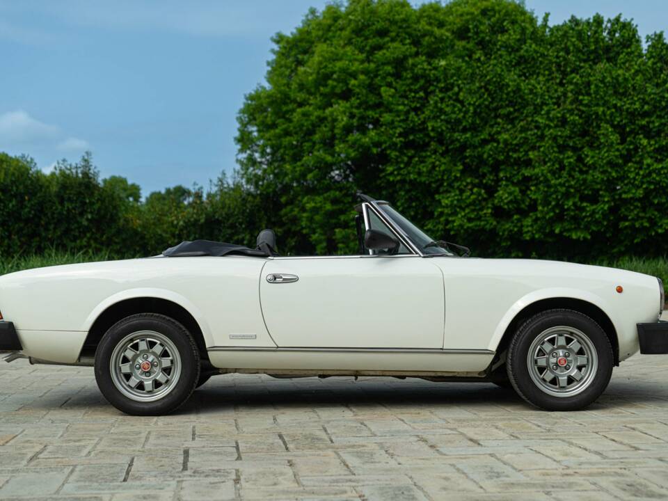 Image 8/50 of FIAT Spider 2000 Pininfarina 50th Anniversary Edition (1981)