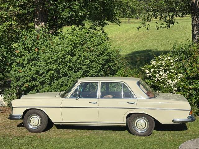 Image 3/52 of Mercedes-Benz 250 SE (1966)