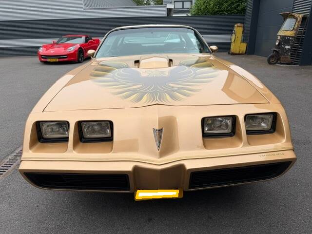 Image 3/21 of Pontiac Firebird TransAm (1979)