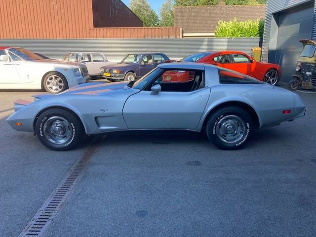 Image 9/19 of Chevrolet Corvette Sting Ray (1979)