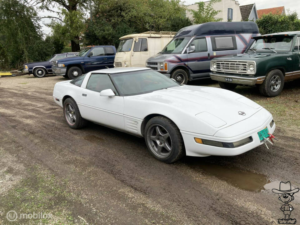 Image 10/24 of Chevrolet Corvette (1994)