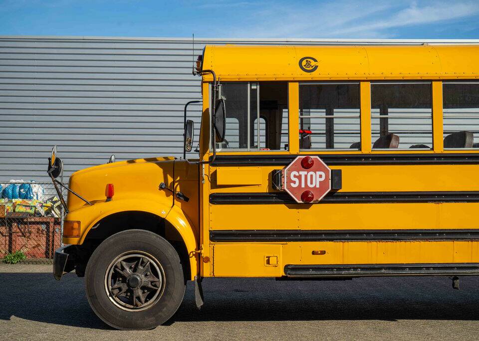 Afbeelding 7/8 van Navistar International 3800 Thomas Schulbus (1998)