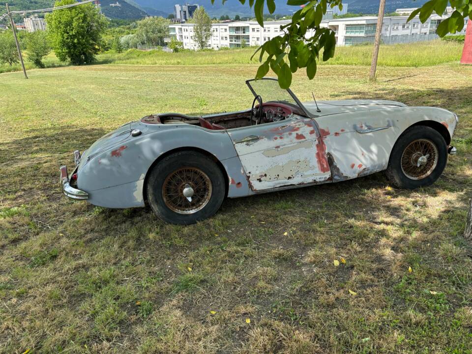 Bild 8/19 von Austin-Healey 3000 Mk I (BN7) (1960)