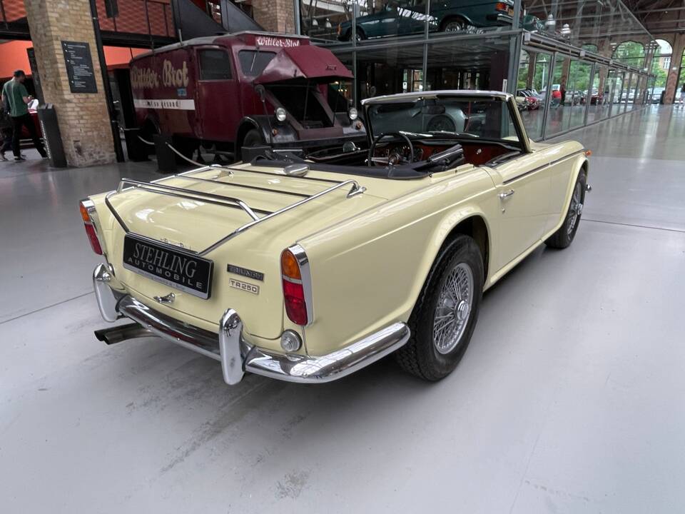 Afbeelding 3/39 van Triumph TR 250 (1967)