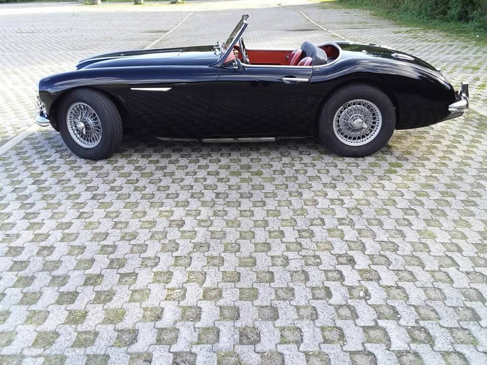Imagen 3/8 de Austin-Healey 100/6 (BN6) (1958)