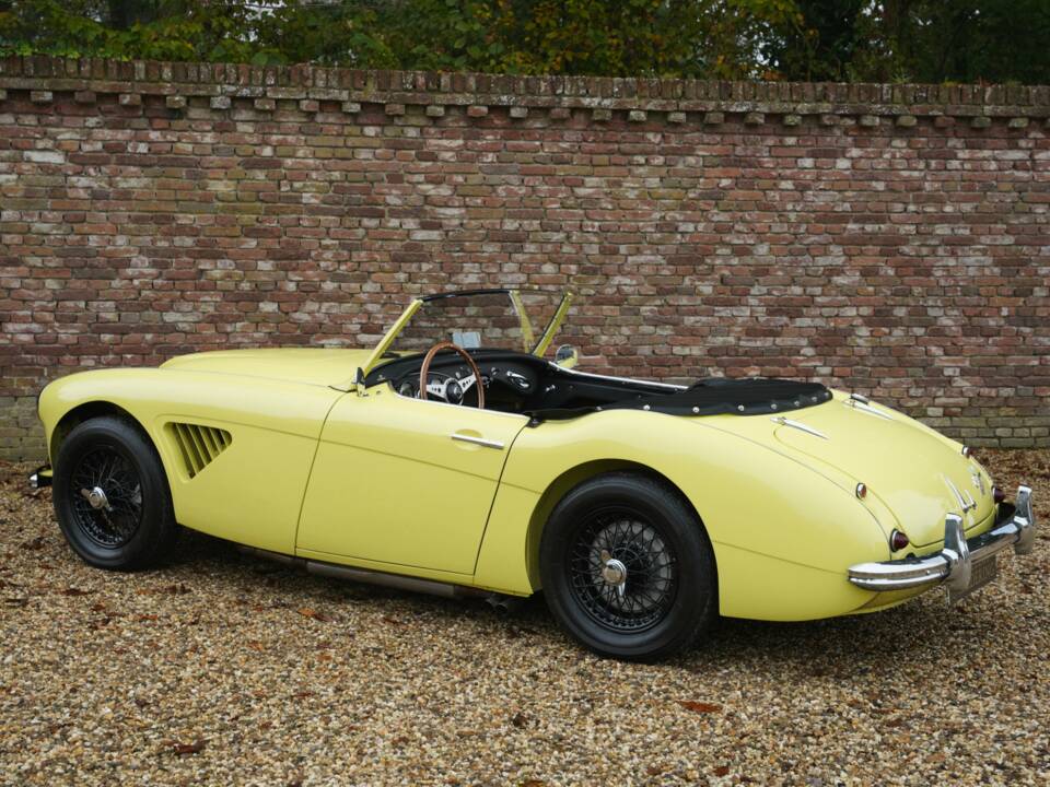 Bild 2/50 von Austin-Healey 3000 Mk I (BN7) (1960)