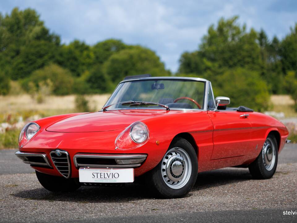 Image 1/44 of Alfa Romeo 1750 Spider Veloce (1969)