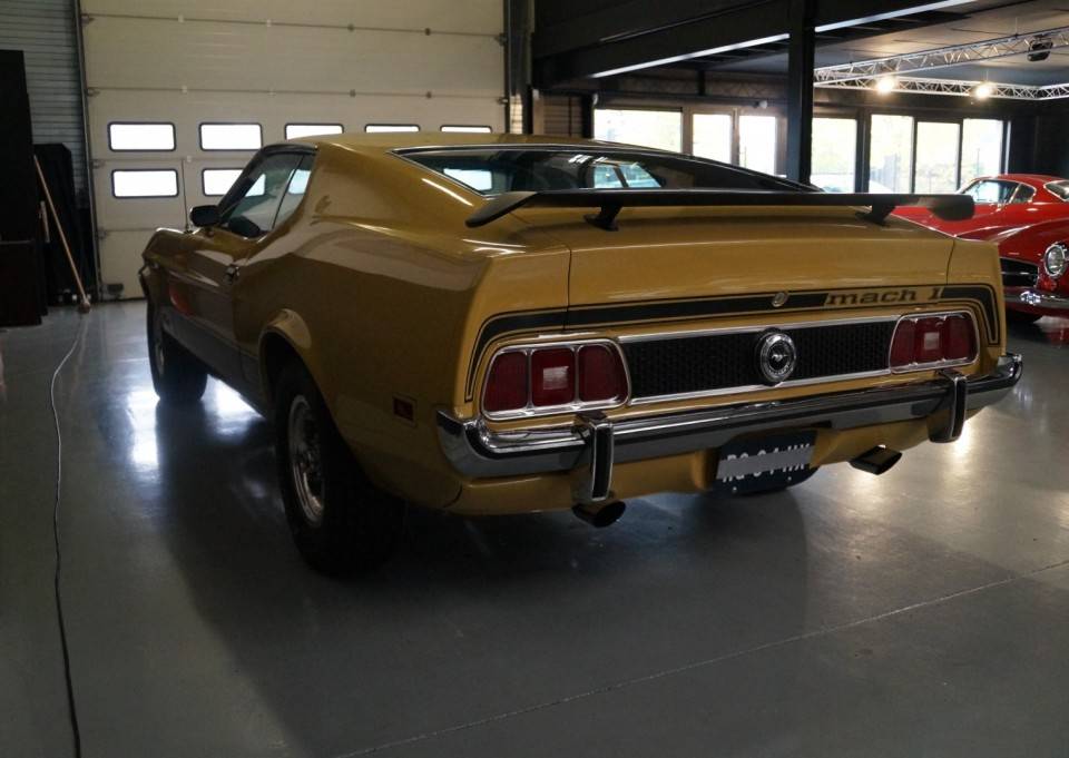 Image 21/46 of Ford Mustang Mach 1 (1972)