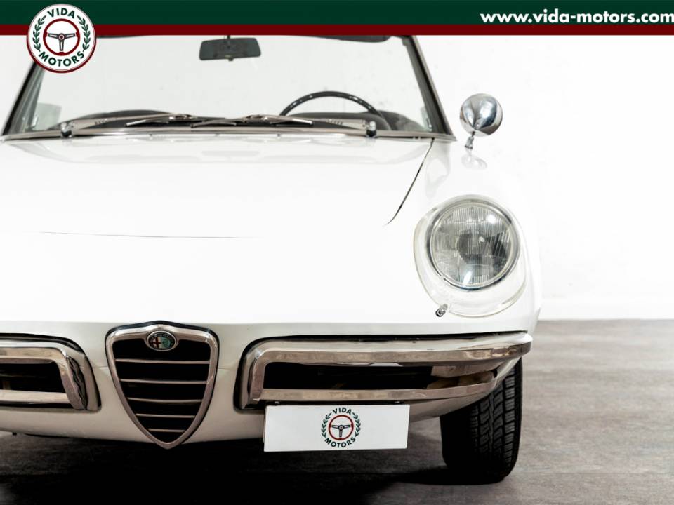 Image 16/41 of Alfa Romeo 1600 Spider Duetto (1967)
