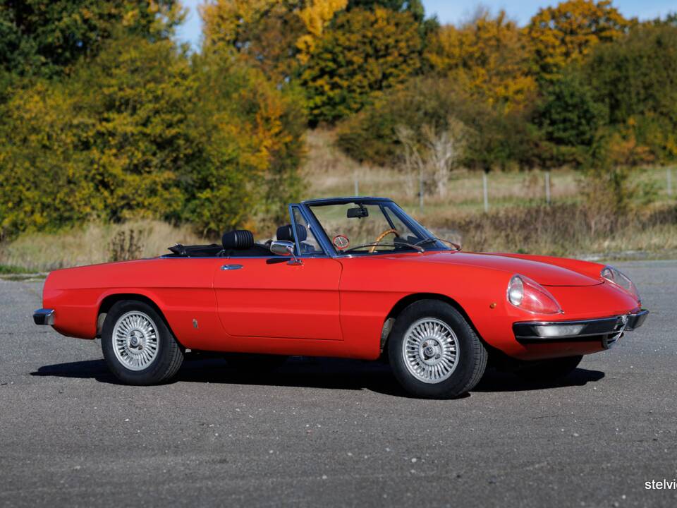 Image 8/43 of Alfa Romeo Spider Veloce 2000 (1976)