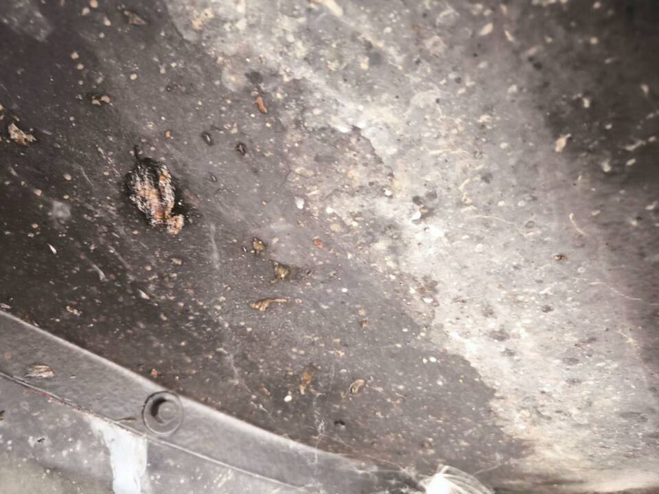 Image 26/30 of Citroën Traction Avant 11 B (1955)