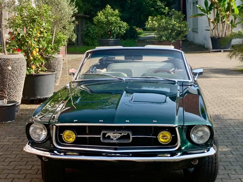 Immagine 2/16 di Ford Mustang 302 (1967)