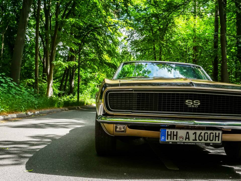 Bild 15/181 von Chevrolet Camaro SS (1967)