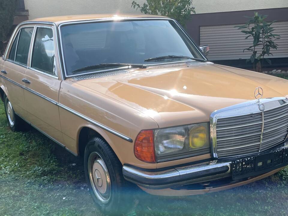 Bild 1/52 von Mercedes-Benz 280 (1976)
