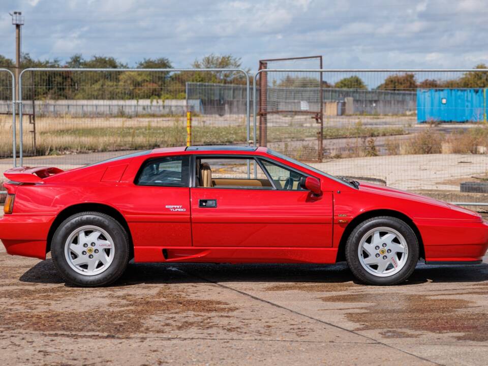 Afbeelding 2/47 van Lotus Esprit Turbo HC (1989)