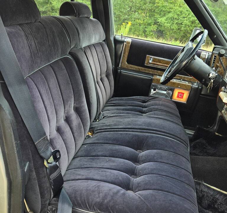 Bild 2/8 von Cadillac Fleetwood (1979)