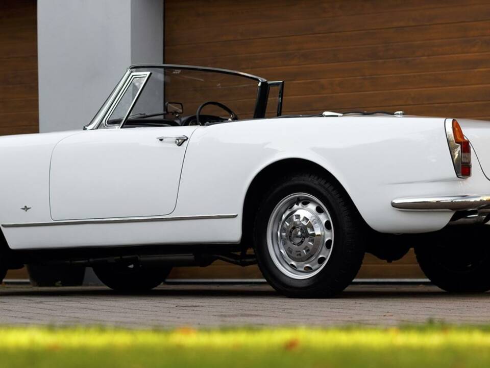Image 19/50 of Alfa Romeo 2600 Spider (1964)