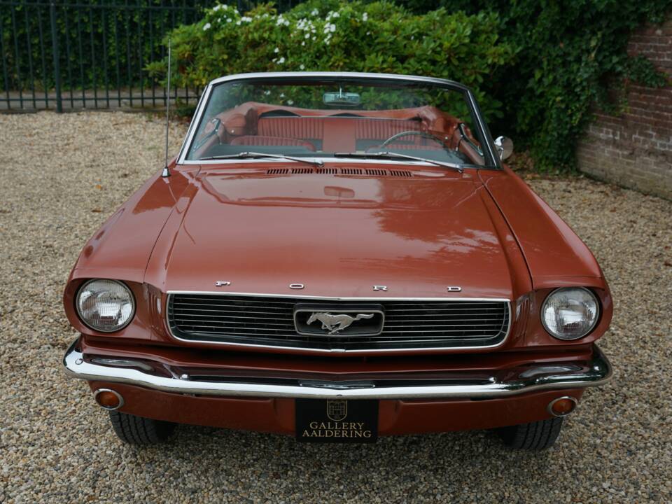 Bild 7/50 von Ford Mustang 289 (1966)