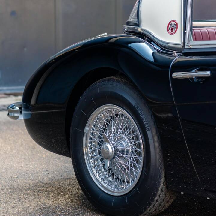 Image 25/50 of Austin-Healey 3000 Mk II (BN7) (1962)