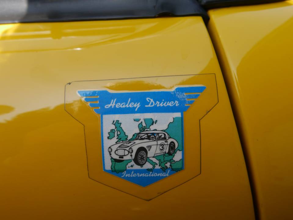 Immagine 10/52 di Austin-Healey 3000 Mk I (BN7) (1959)