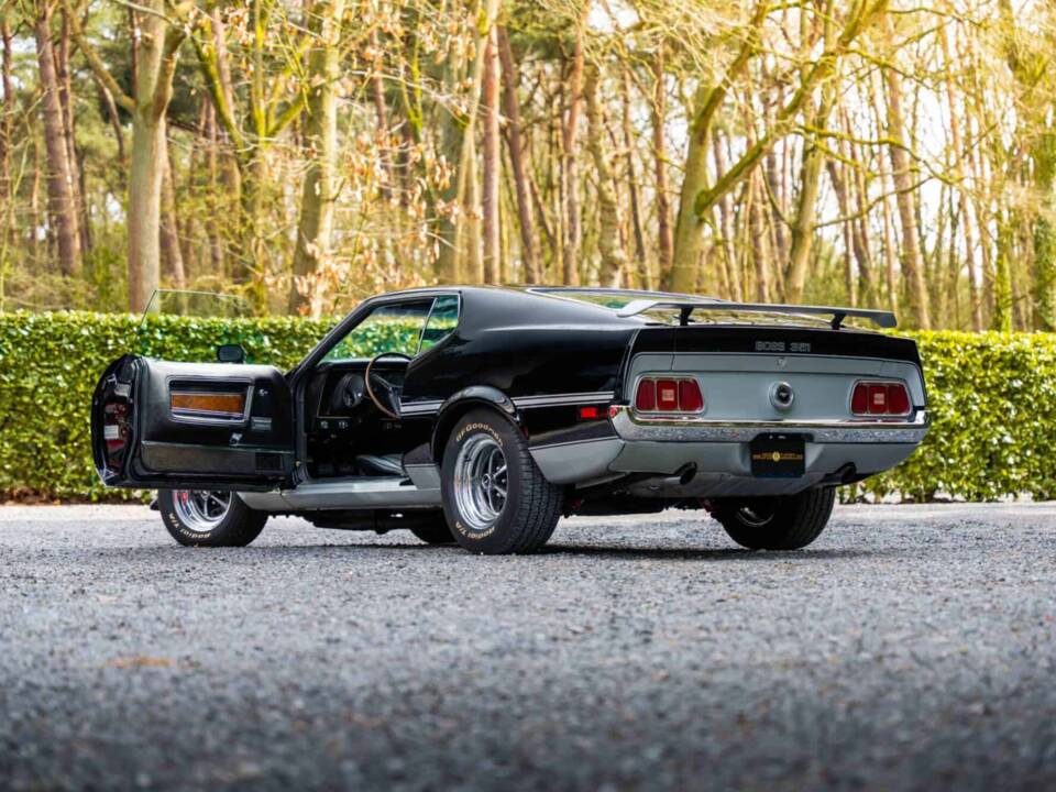 Immagine 40/48 di Ford Mustang Boss 351 (1970)
