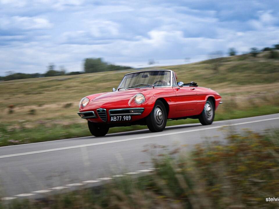 Afbeelding 34/37 van Alfa Romeo 1600 Spider Duetto (1966)