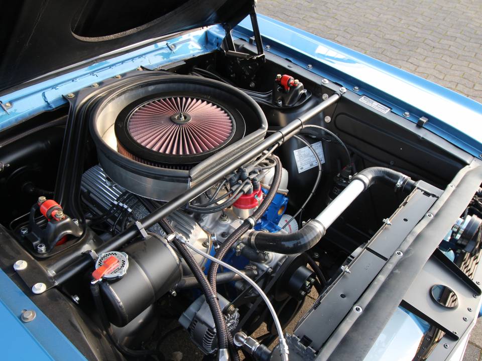 Bild 10/14 von Ford Shelby GT 350 (1966)