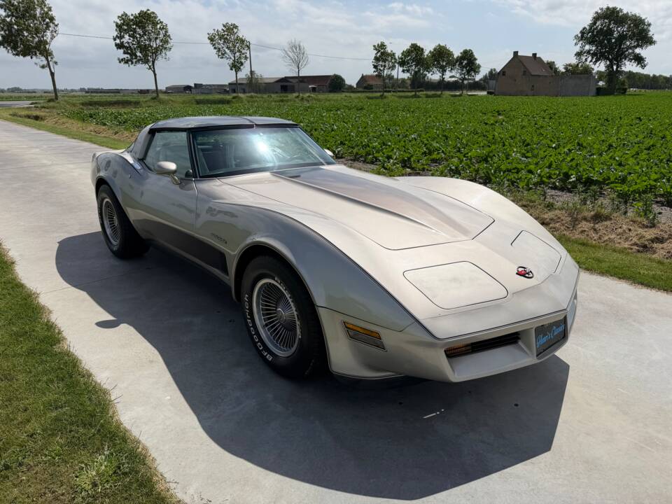 Afbeelding 9/50 van Chevrolet Corvette Collector Edition (1982)