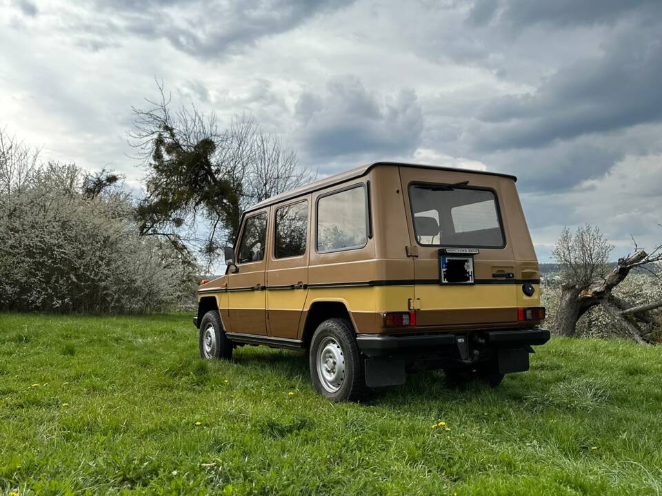 Bild 3/18 von Steyr-Puch 300 GD (lang) (1982)