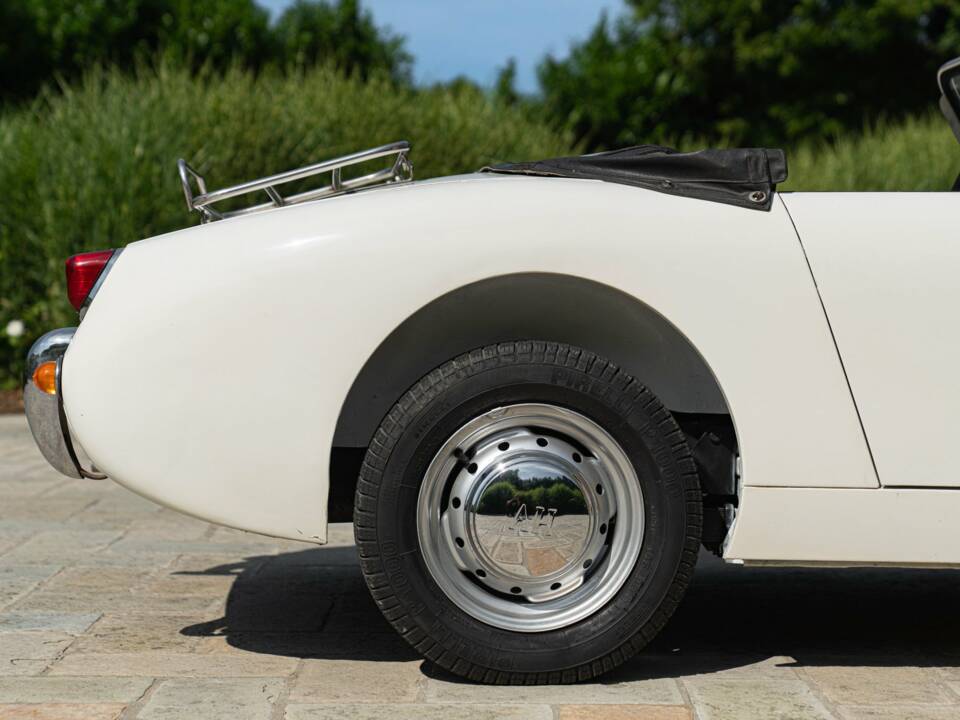Image 22/50 of Austin-Healey Sprite Mk I (1958)