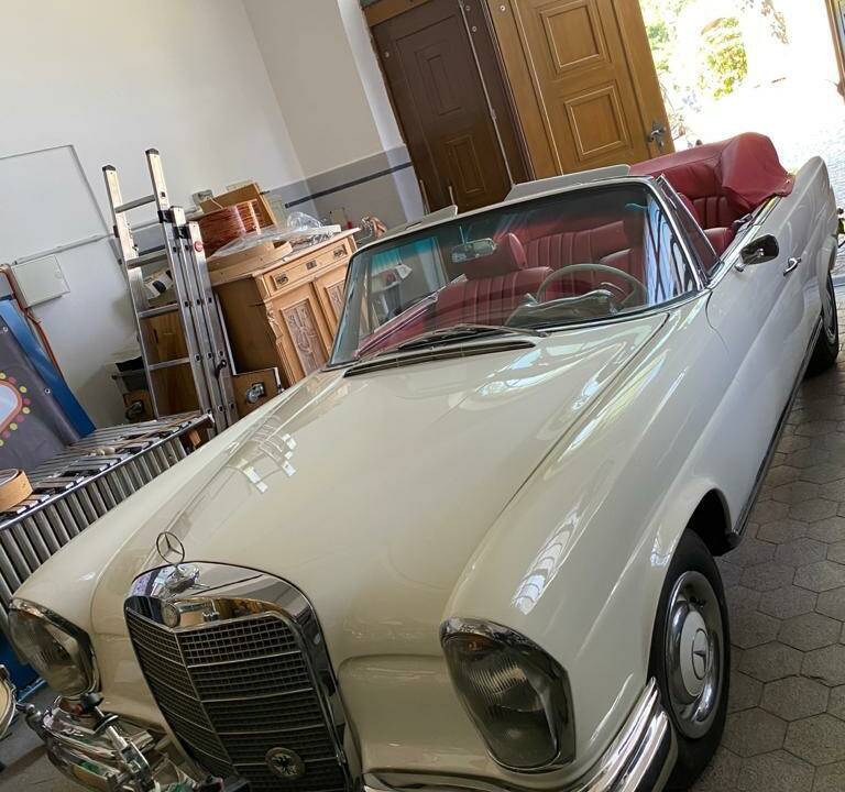 Bild 46/77 von Mercedes-Benz 250 SE (1966)