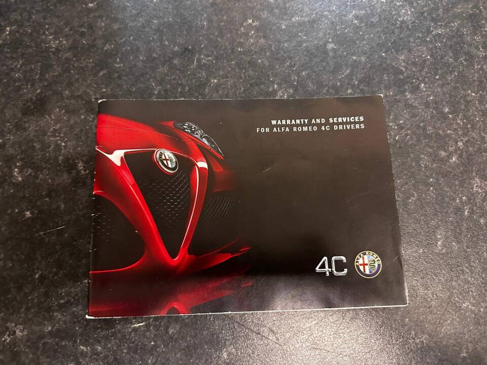 Bild 46/47 von Alfa Romeo 4C Spider (2015)