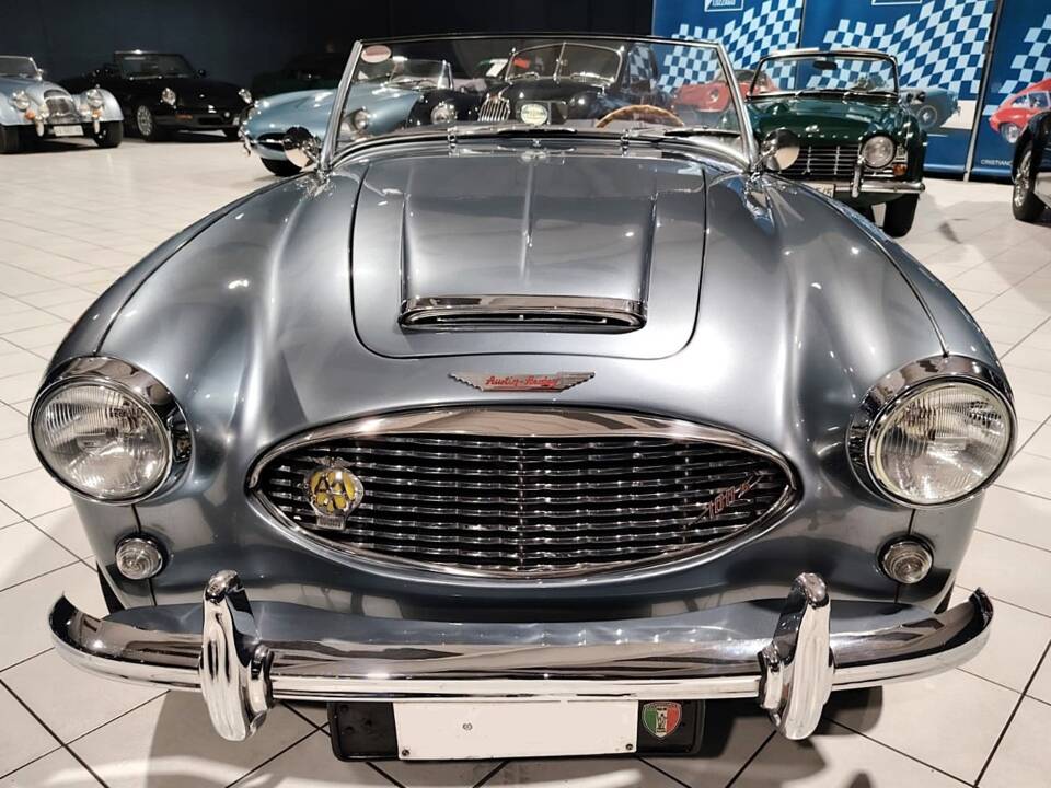 Imagen 17/72 de Austin-Healey 100/6 (BN4) (1957)