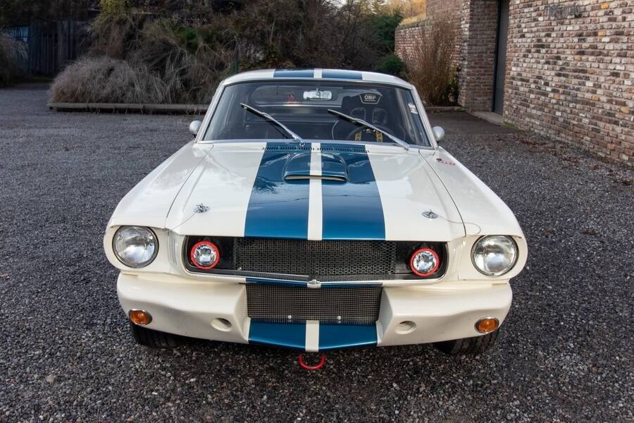Afbeelding 12/48 van Ford Shelby GT 350 (1965)