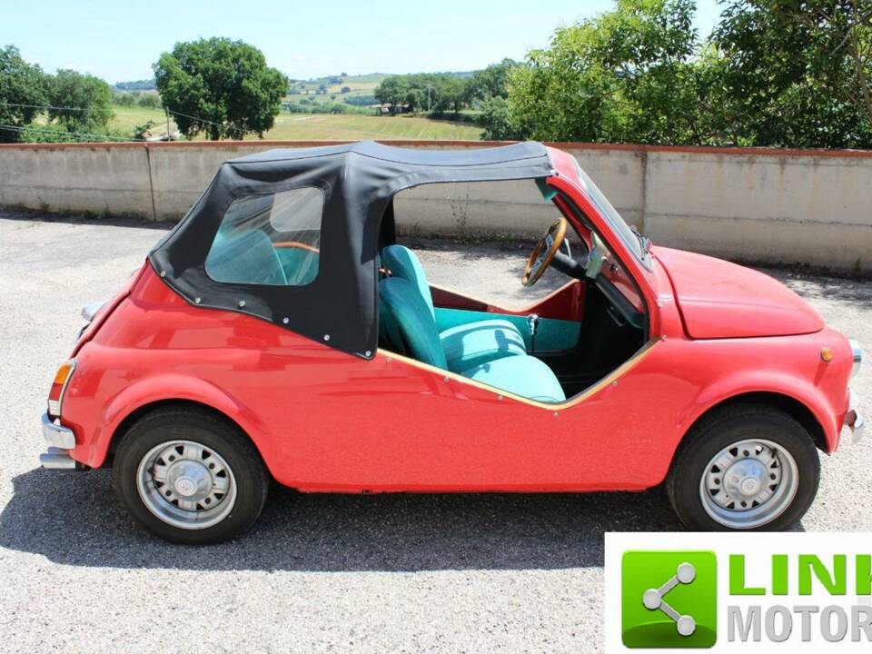 Image 4/10 of FIAT Ghia 500 Jolly (1967)