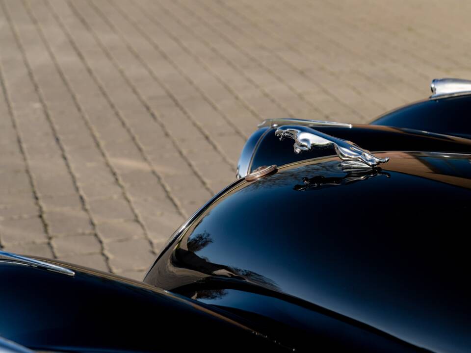 Afbeelding 19/58 van Jaguar XK 120 OTS (1951)