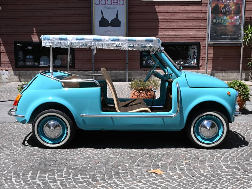 Image 8/90 of FIAT Ghia 500 Jolly (1970)