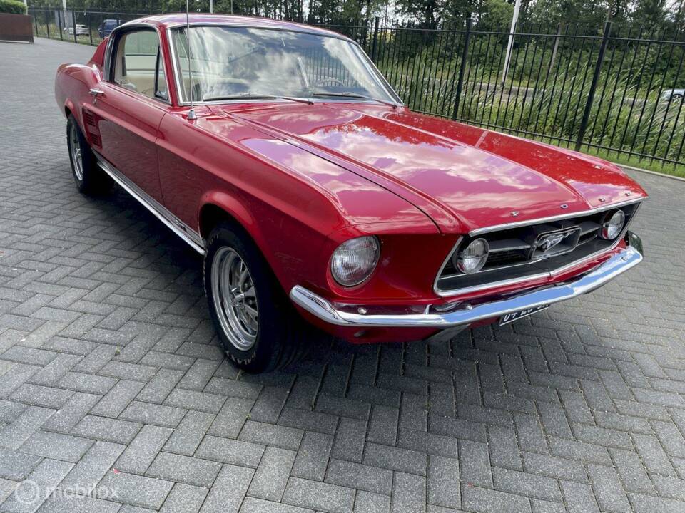 Bild 9/15 von Ford Mustang GT 390 (1967)