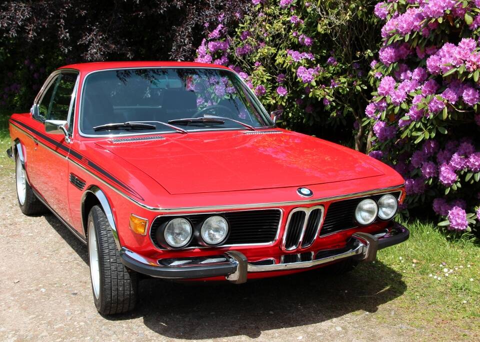 Immagine 11/65 di BMW 3.0 CSL (1973)