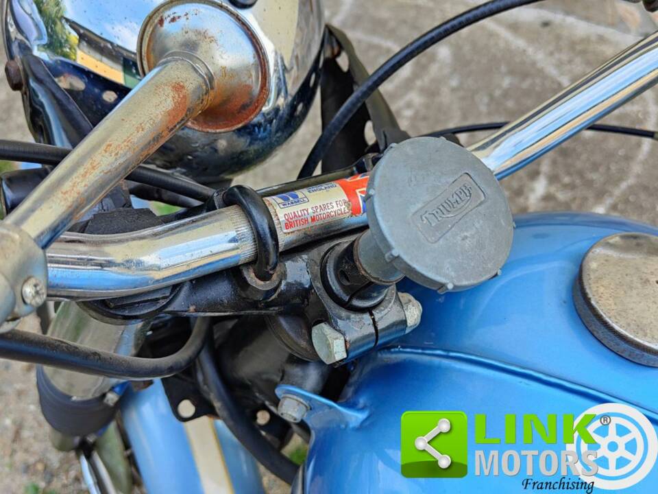 Bild 7/10 von Triumph DUMMY (1957)