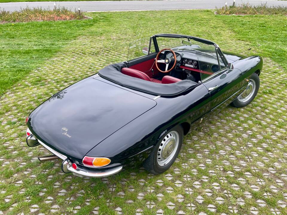 Bild 17/24 von Alfa Romeo 1600 Duetto (1966)