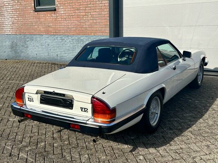 Bild 2/7 von Jaguar XJS 5.3 V12 (1988)