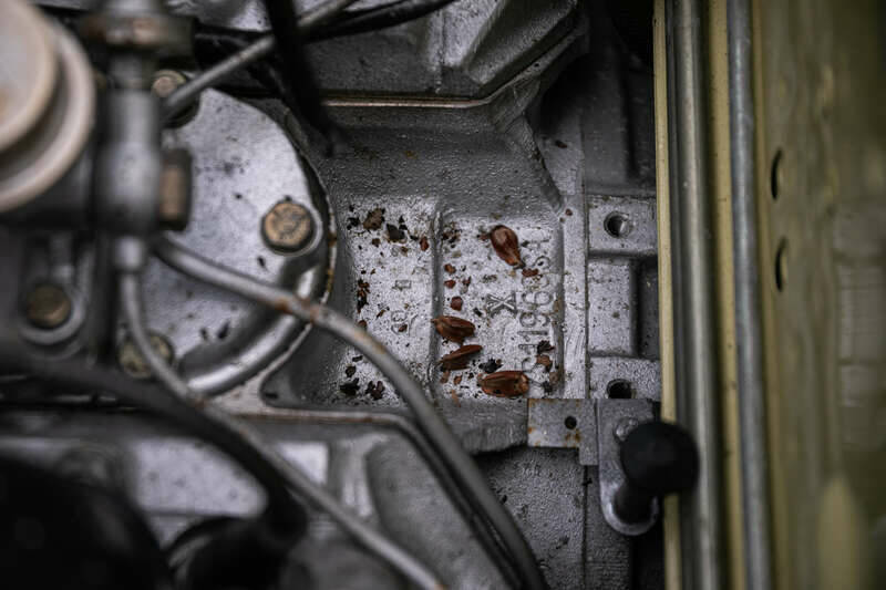 Afbeelding 31/45 van Jaguar E-Type V12 (1973)