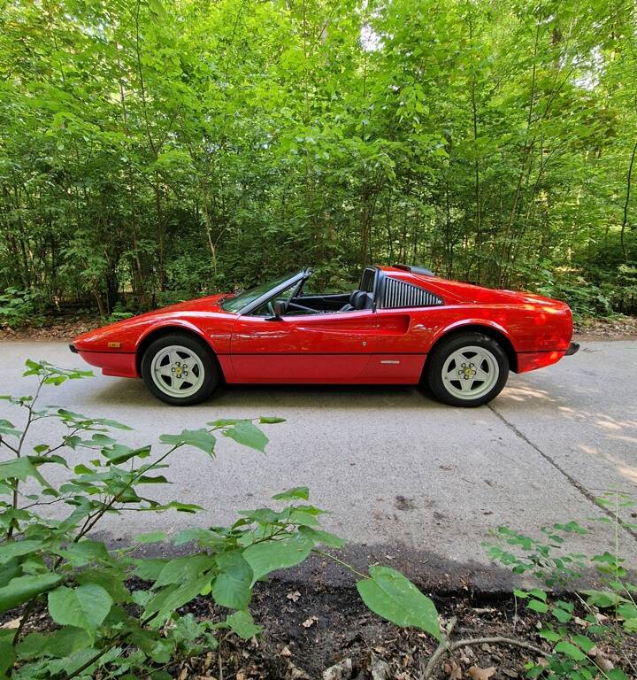 Image 8/82 of Ferrari 308 GTS Quattrovalvole (1983)