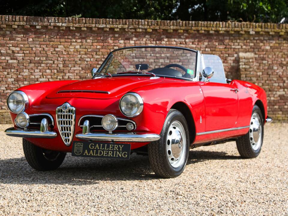 Bild 13/50 von Alfa Romeo Giulia 1600 Spider Veloce (1965)