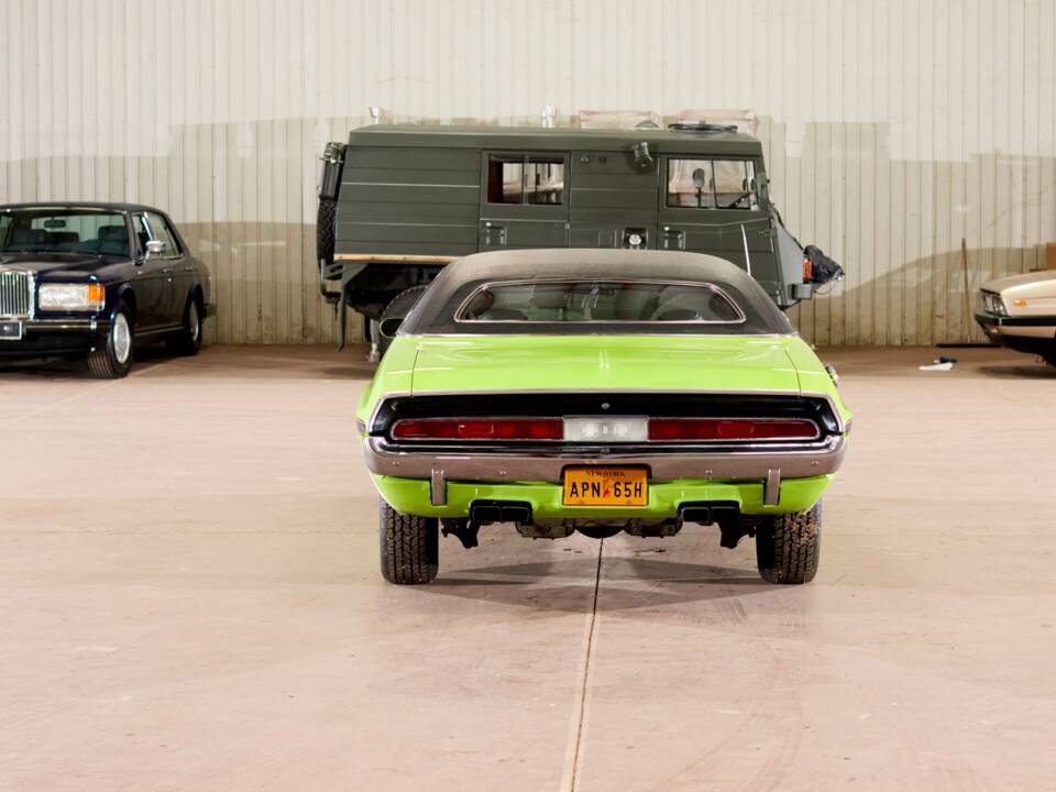 Immagine 6/71 di Dodge Challenger R/T (1970)